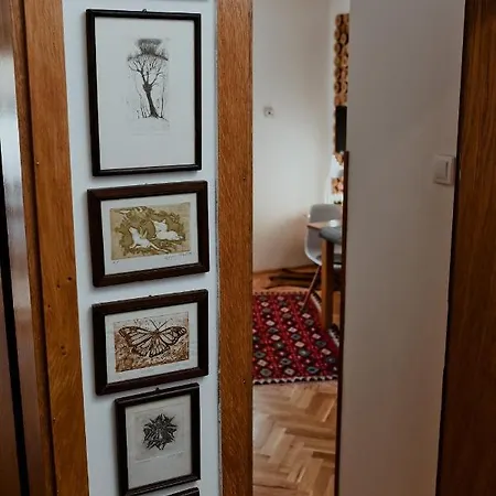 Apartment Suncana Dolina Zlatibor Exterior photo